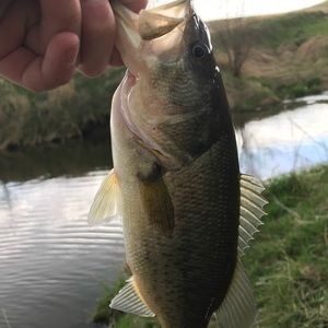 Meet your Posher, Karsen